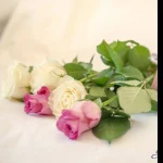 Kauneushoitola Keijun kosketus